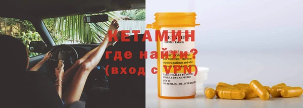 стаф Арсеньев