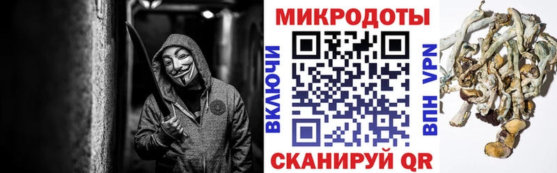 Псилоцибиновые грибы ЛСД  купить  сайты  Нюрба 
